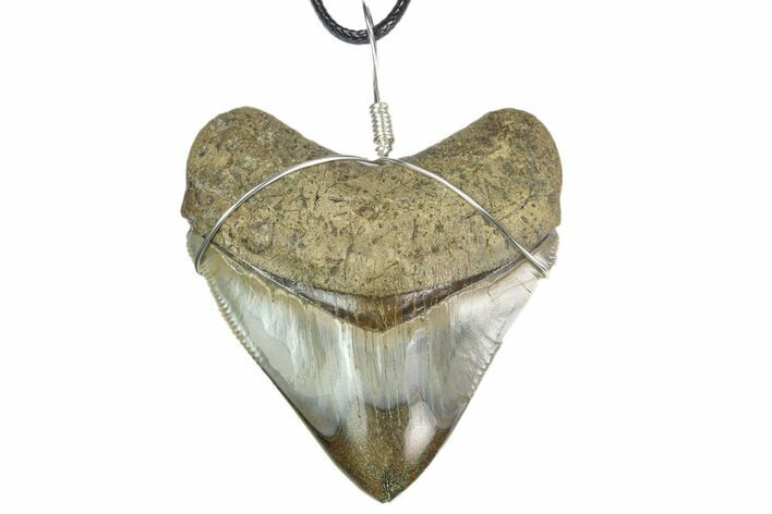 Fossil Megalodon Tooth Necklace #130387